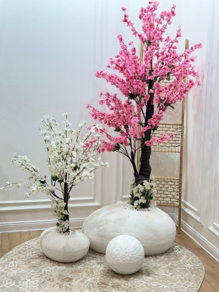 طقم شجر لوز